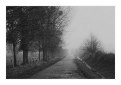 Chemin dans la brume