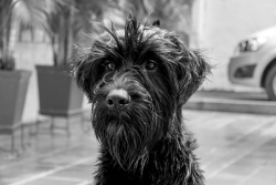DSC_0611.jpg