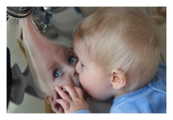 Le baiser de Troll