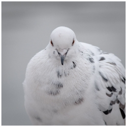 You Talkin' to me