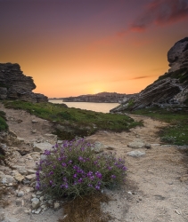 Bonifacio