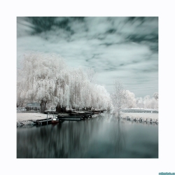 Port du Vanneau, la Venise Verte