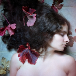 AUTOMNE
