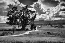La route du retour