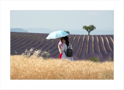Chinoiserie à Valensole acte II