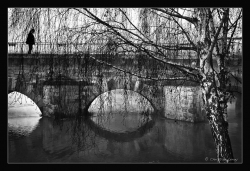 l'homme sur le pont