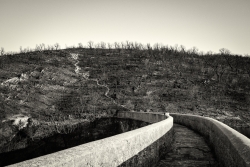 Terres brulées, le chemin.
