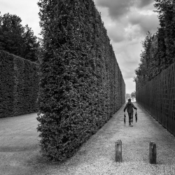 Perdu dans les jardins du roi