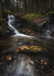 Cascade des Darots ...