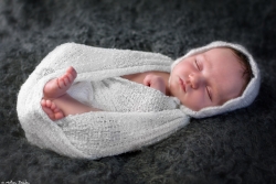 Bébé chenille dans son cocon