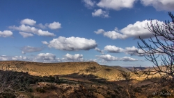 Paysage