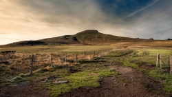 SANCY #4