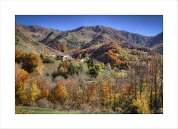 Quand l'automne peint le paysage