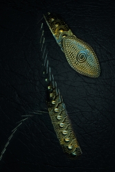 Serpent indus