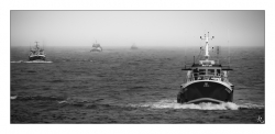 La pêche est terminée, rentrons au port...