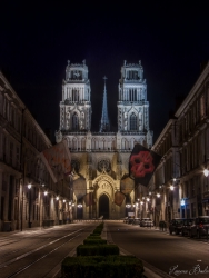 Cathédrale dans la nuit