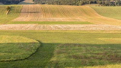 Courbes champêtres