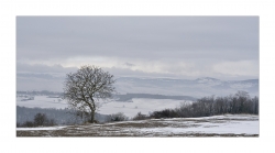Entre Billom et Issoire (1 semaine après).