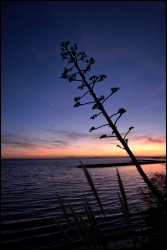 Sur la plage de la corniche... 2, 3 et 4