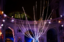 Les branches lumineuses