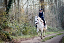 Yahhh au galop !