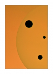 Cellules (4)