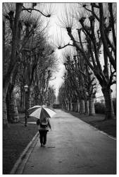 Balade après la pluie...