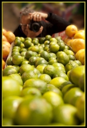 moi et limon