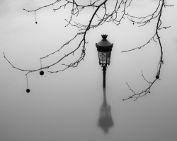 Crue d'eau à Paris