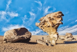 Árbol de Piedra