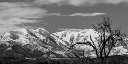 Le canigou