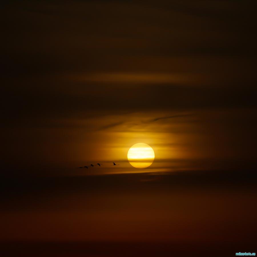 un lever de soleil