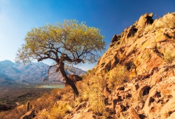 Hauts plateaux des Andes