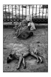 Rajasthan (4)...