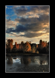 Bord de Loire à l'automne