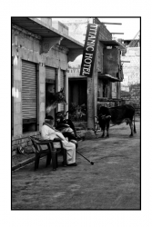 Rajasthan (10)...