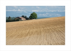 Agriculture artistique