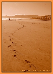 le Canet plage