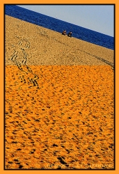 plage à Barcarès