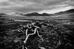 Retour d'Ecosse