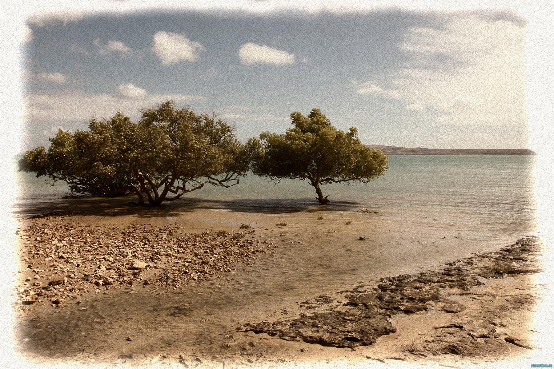 Un litoral