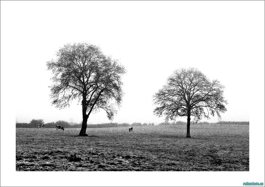 Photo inscription n°2