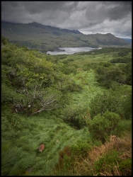 Parc de Killarney