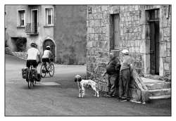 Des vélos qui passent...