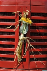 Le bouquet