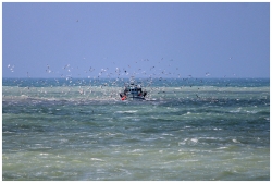Retour de pêche
