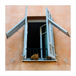 On joue à chat?