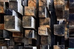 New Oak City