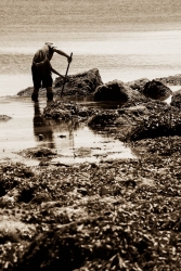 Le pècheur.