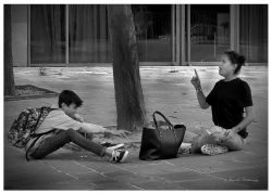 Vois l'arbre... --Eu... J'aime mieux voir ton sac !